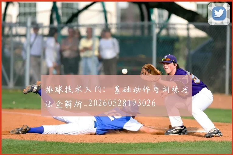排球技术入门：基础动作与训练方法全解析_20260528193026