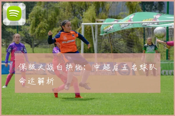 保级大战白热化：中超后五名球队命运解析