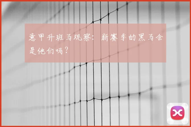 意甲升班马观察：新赛季的黑马会是他们吗？