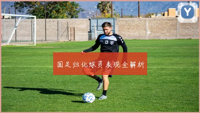 国足归化球员表现全解析